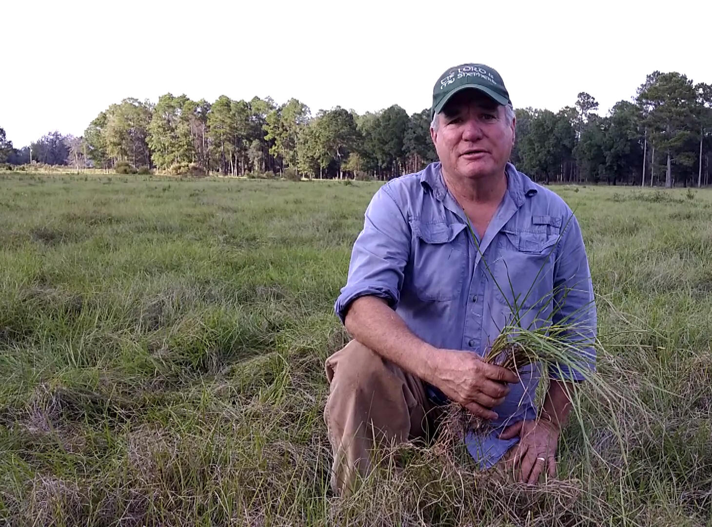 GroPal Balance grass